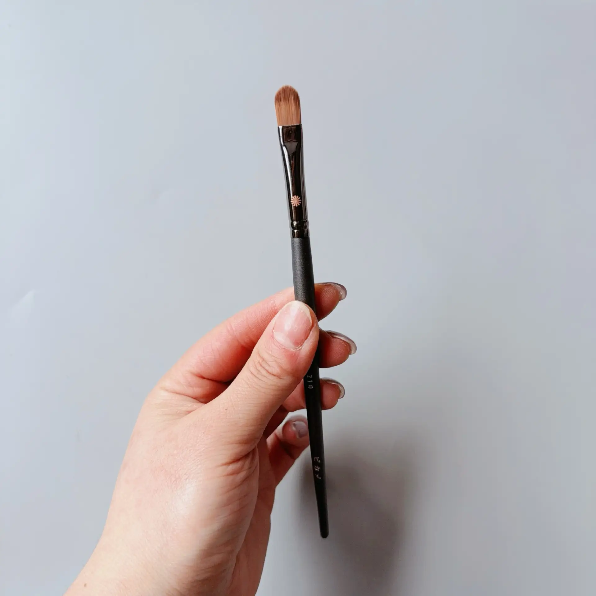 Bijia Full Series Makeup Brush 133224 FB18 Loose Powder Blush Eye Shadow - Image 38