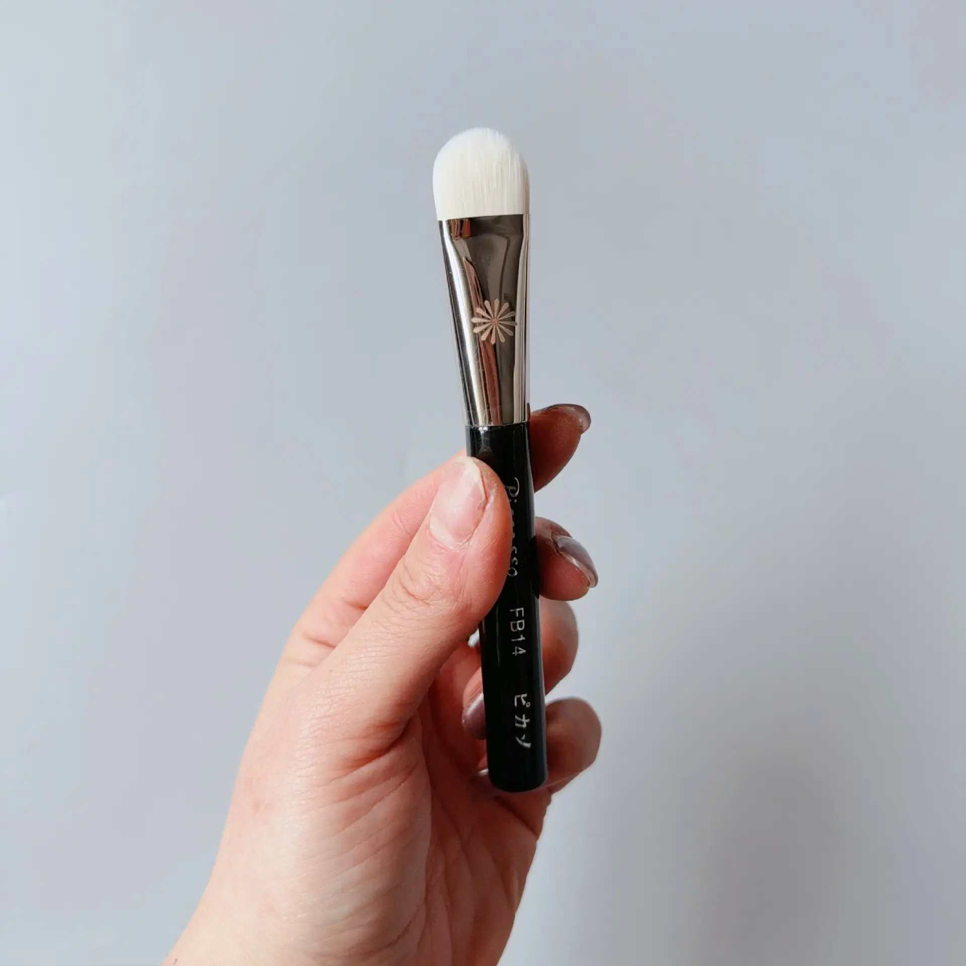 Bijia Full Series Makeup Brush 133224 FB18 Loose Powder Blush Eye Shadow - Image 49