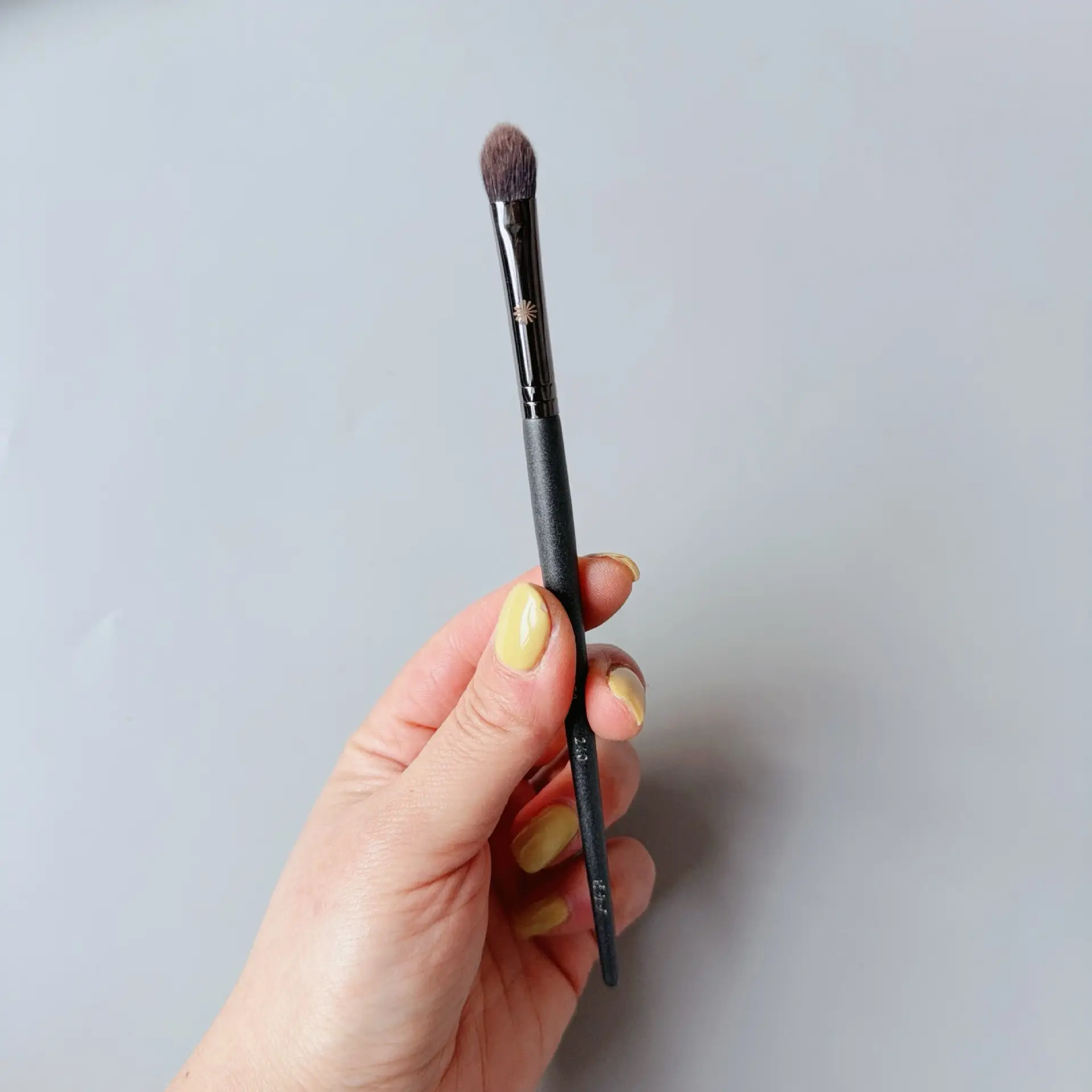 Bijia Full Series Makeup Brush 133224 FB18 Loose Powder Blush Eye Shadow - Image 56