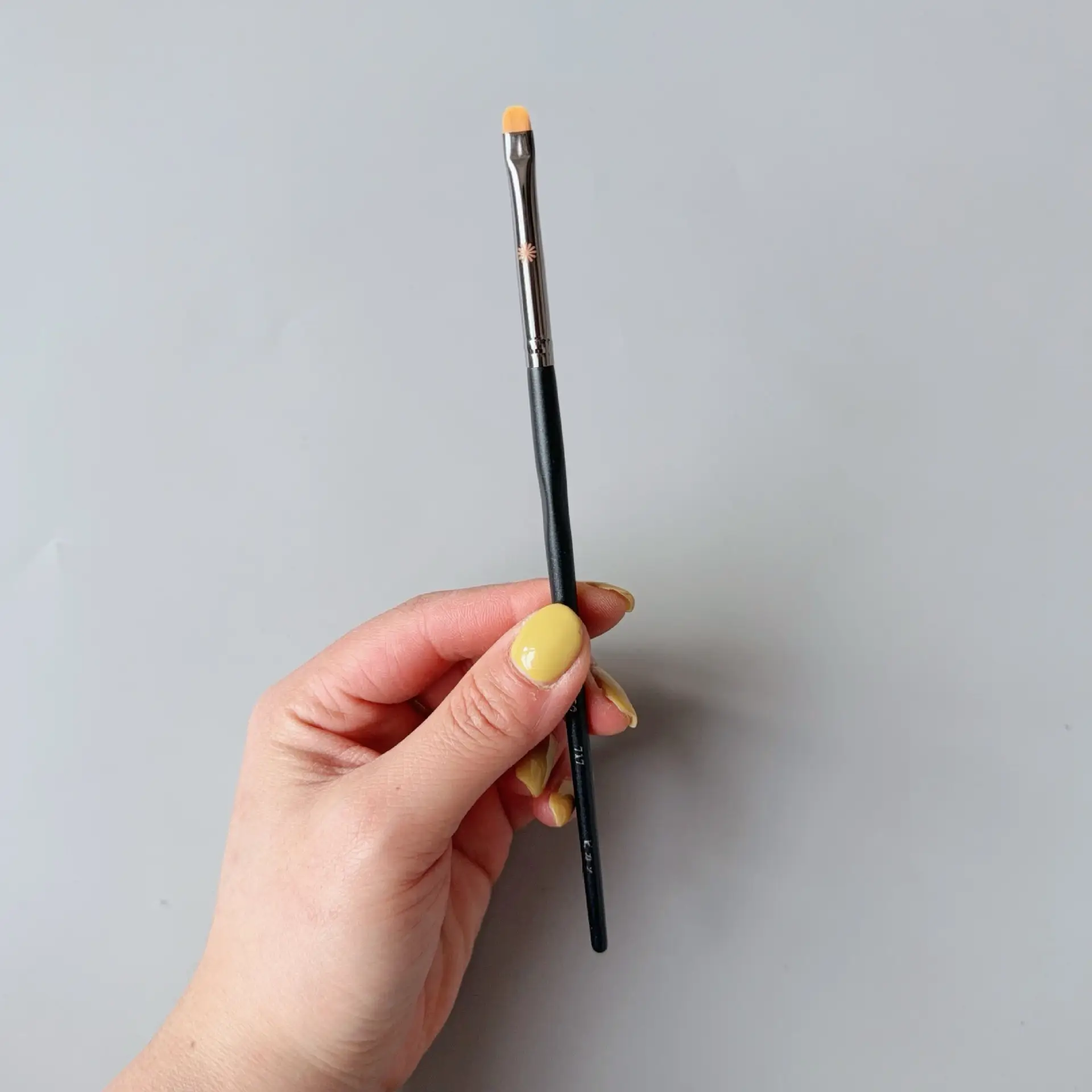 Bijia Full Series Makeup Brush 133224 FB18 Loose Powder Blush Eye Shadow - Image 61