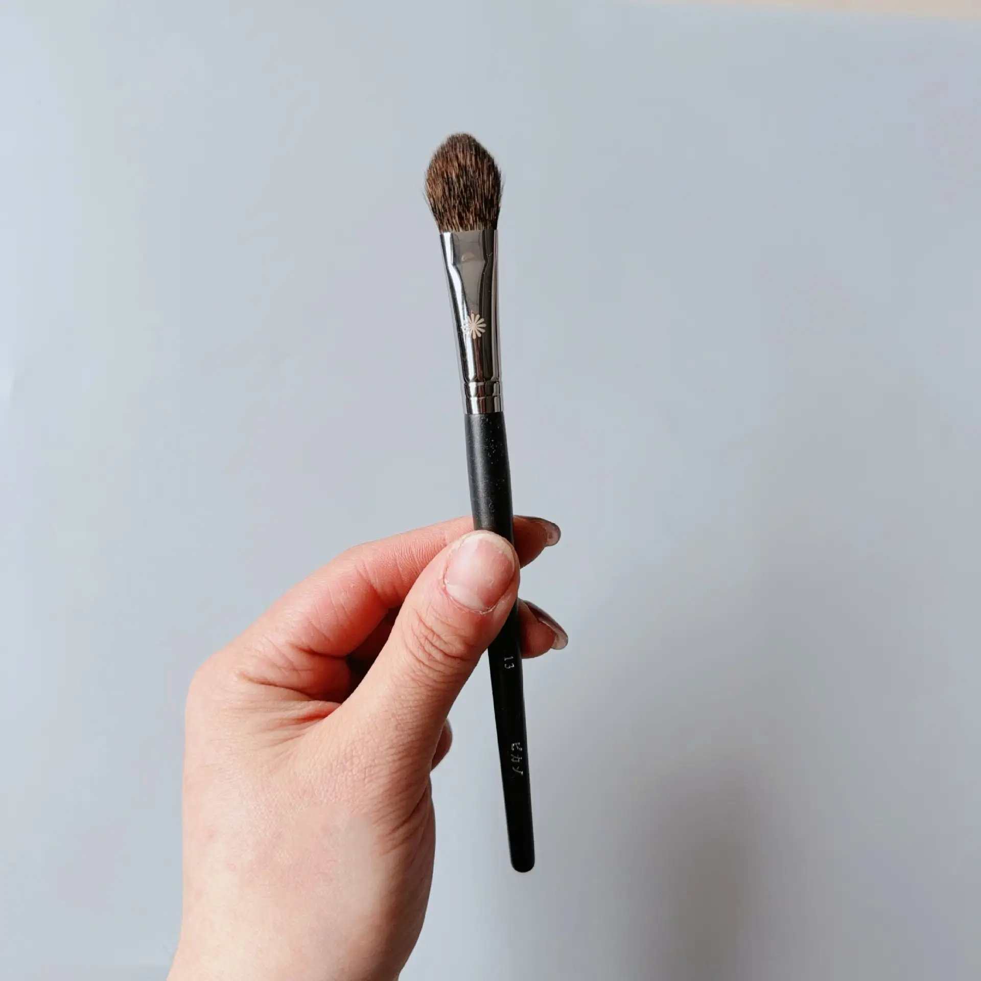Bijia Full Series Makeup Brush 133224 FB18 Loose Powder Blush Eye Shadow - Image 62