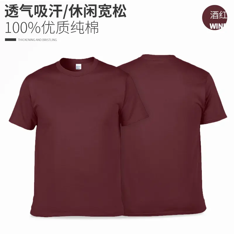 Summer Pure Cotton T-Shirt Blue Carolina Blue - Image 13