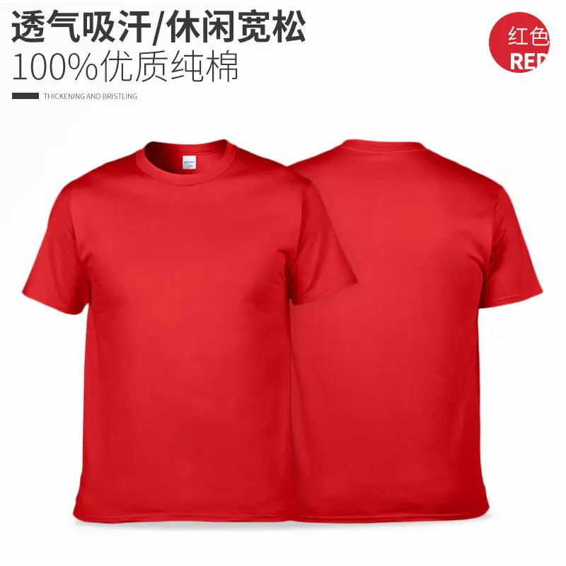 Summer Pure Cotton T-Shirt Blue Carolina Blue - Image 2