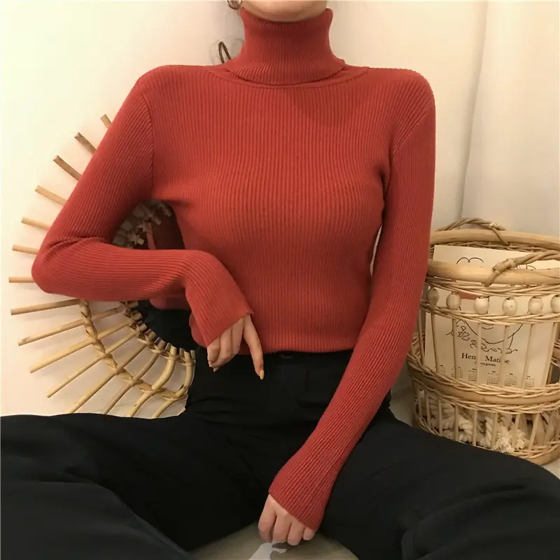 Women Pink Knit High Neck Long Sleeve Top — feature 30