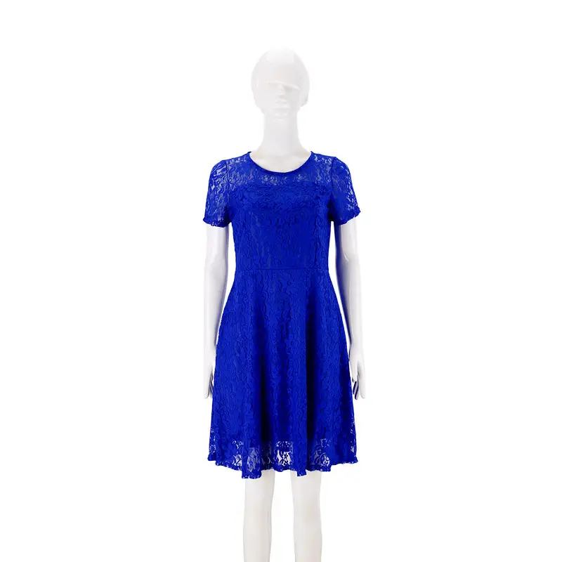 Blue Lace Round Neck Short Sleeve Dress - Image 4
