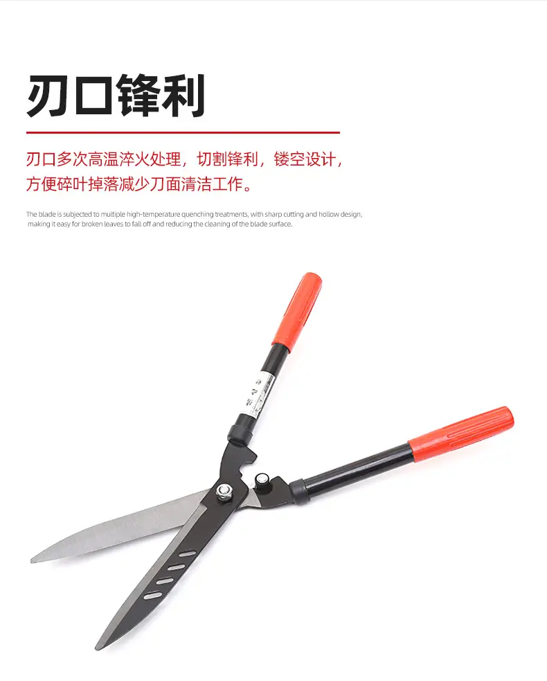详情-1_02.png