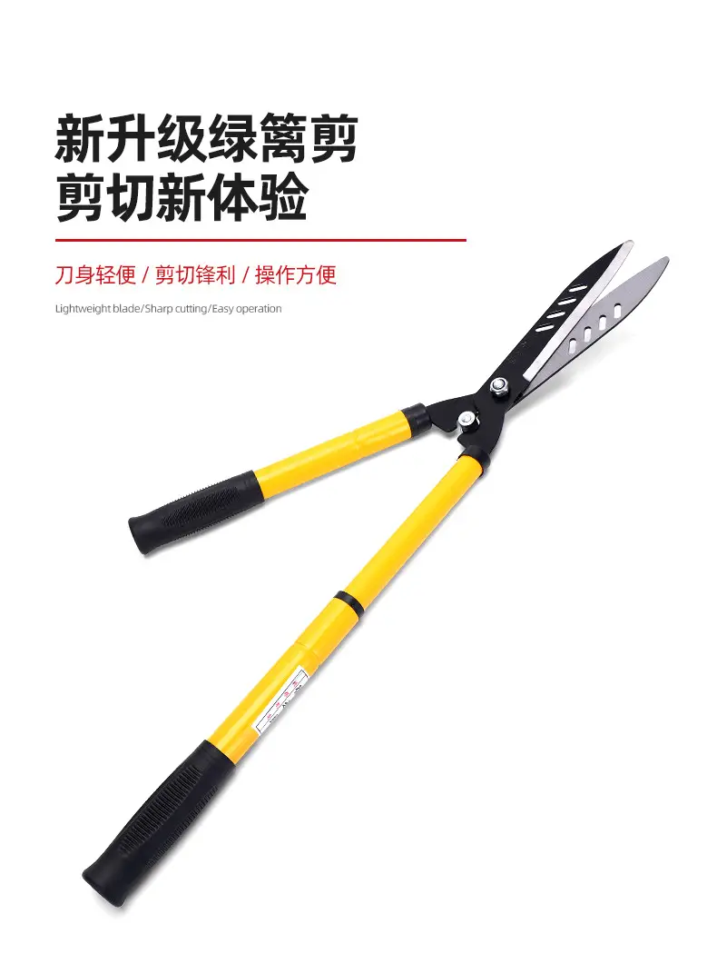 详情-1_11.png