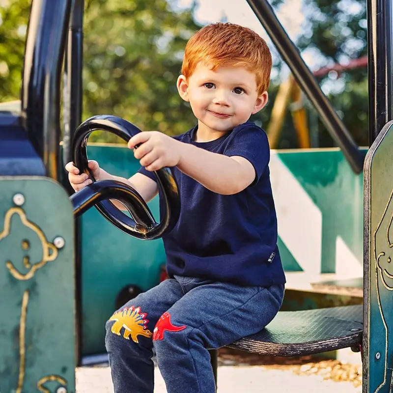 Blue Dinosaur Graphic Boys Sweatpants Set