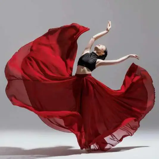 Elegant Classical Dance Suit Women Black Large Swing Skirt - Image 5