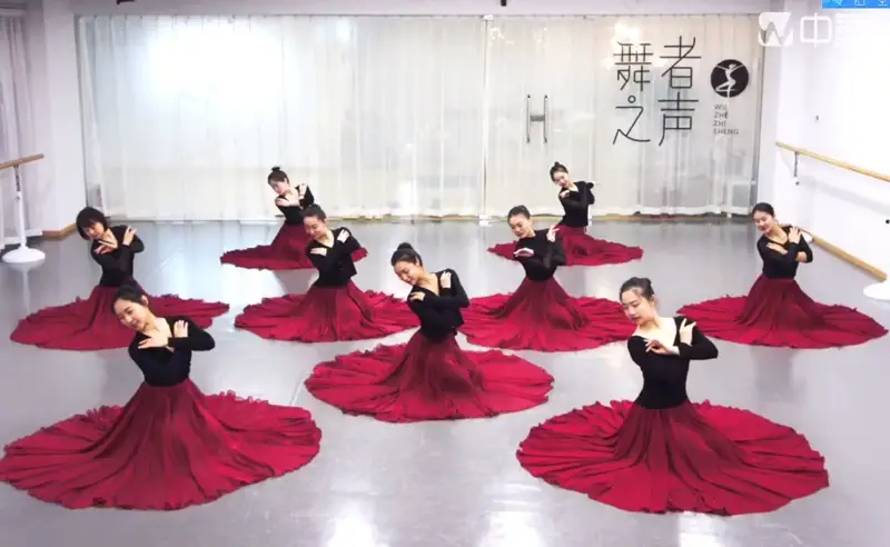 Elegant Classical Dance Suit Women Black Large Swing Skirt — feature 36