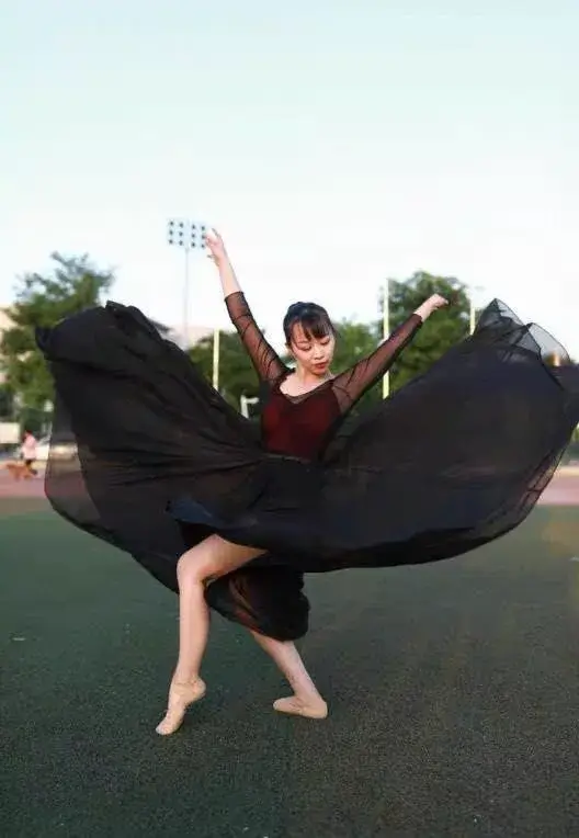 Elegant Classical Dance Suit Women Black Large Swing Skirt — feature 44