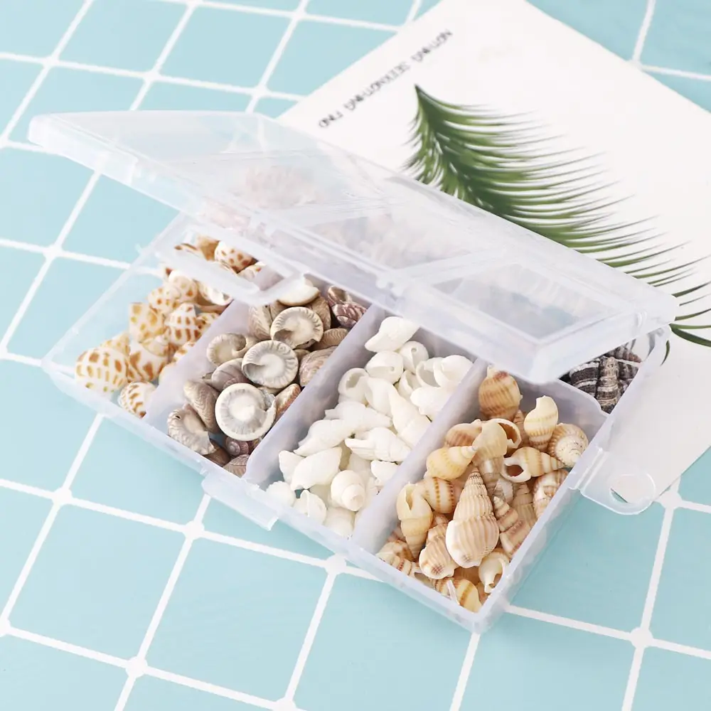 Mixed Shell Conch Decor for Aquarium & DIY Home - Image 5