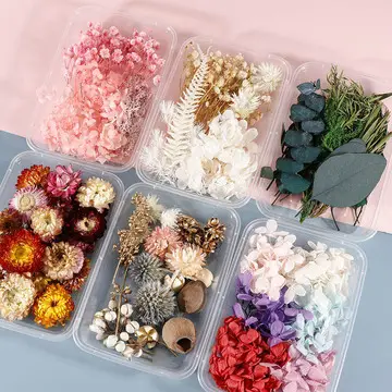 Mixed Shell Conch Decor for Aquarium & DIY Home — feature 7