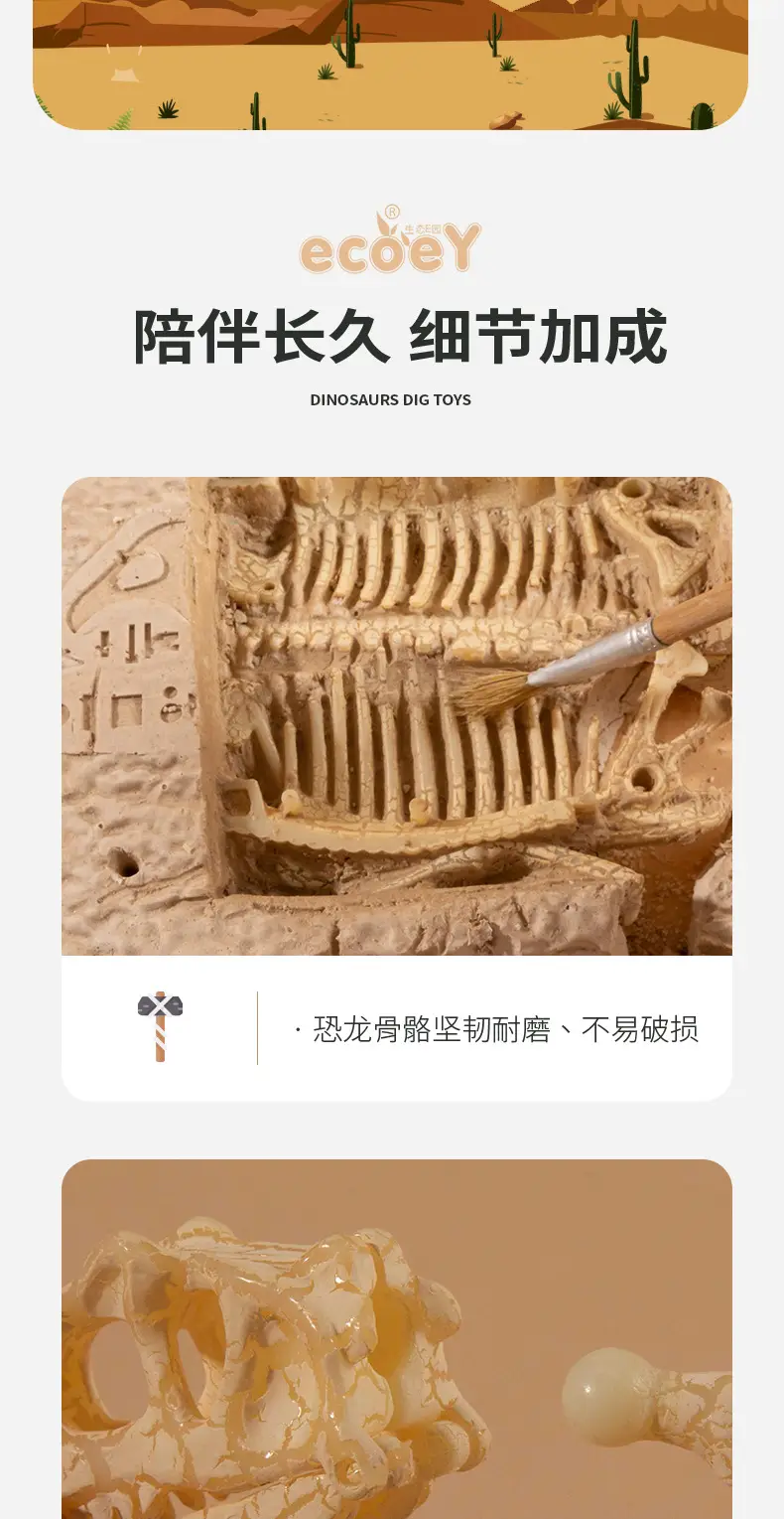 恐龙挖掘最新完整版切割图_14.jpg