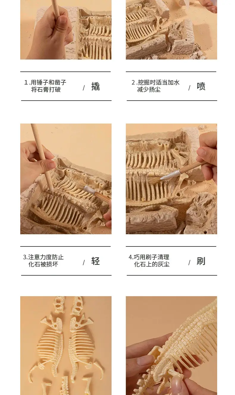 恐龙挖掘最新完整版切割图_16.jpg