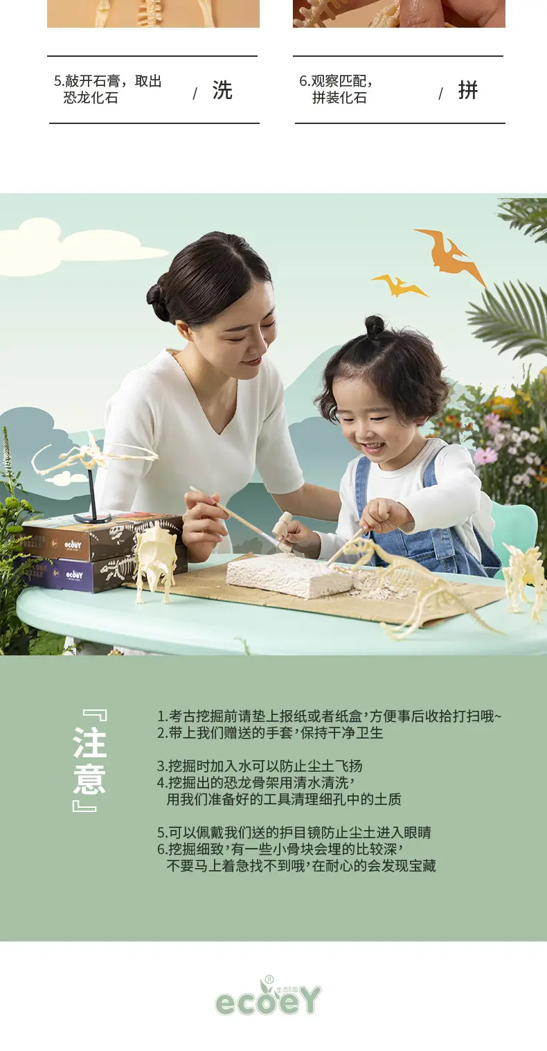 恐龙挖掘最新完整版切割图_17.jpg