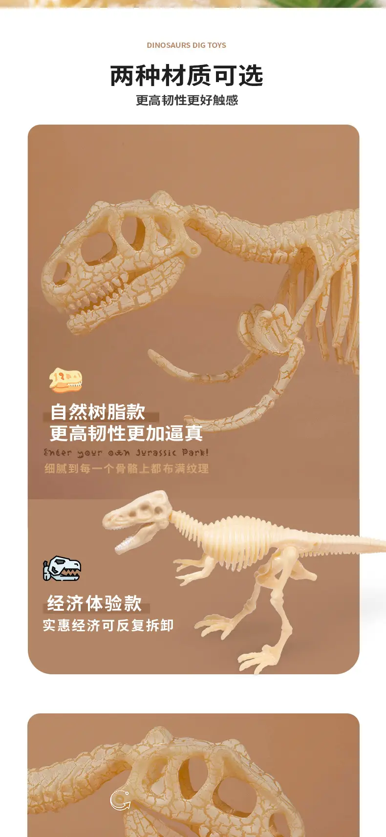 恐龙挖掘最新完整版切割图_06.jpg