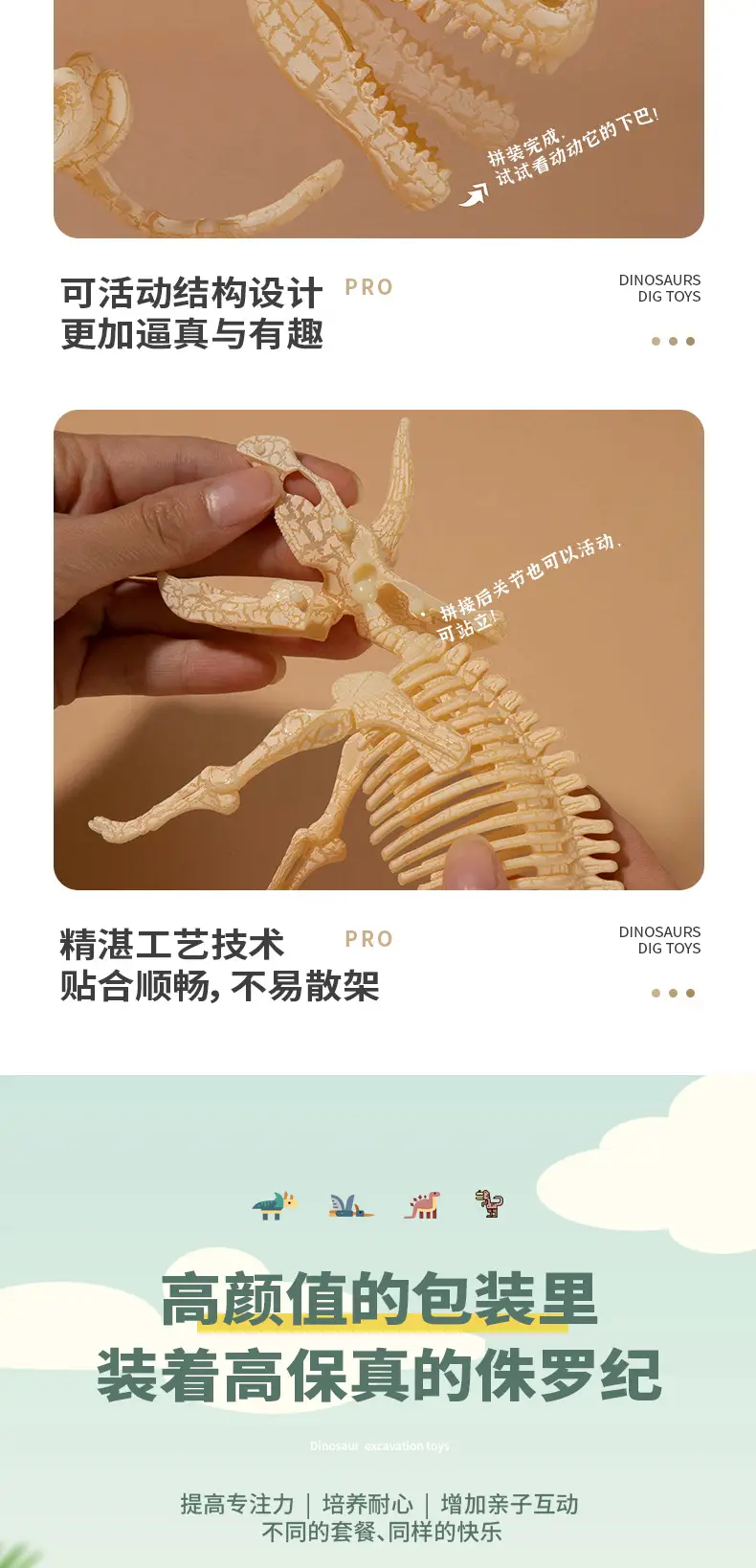 恐龙挖掘最新完整版切割图_07.jpg