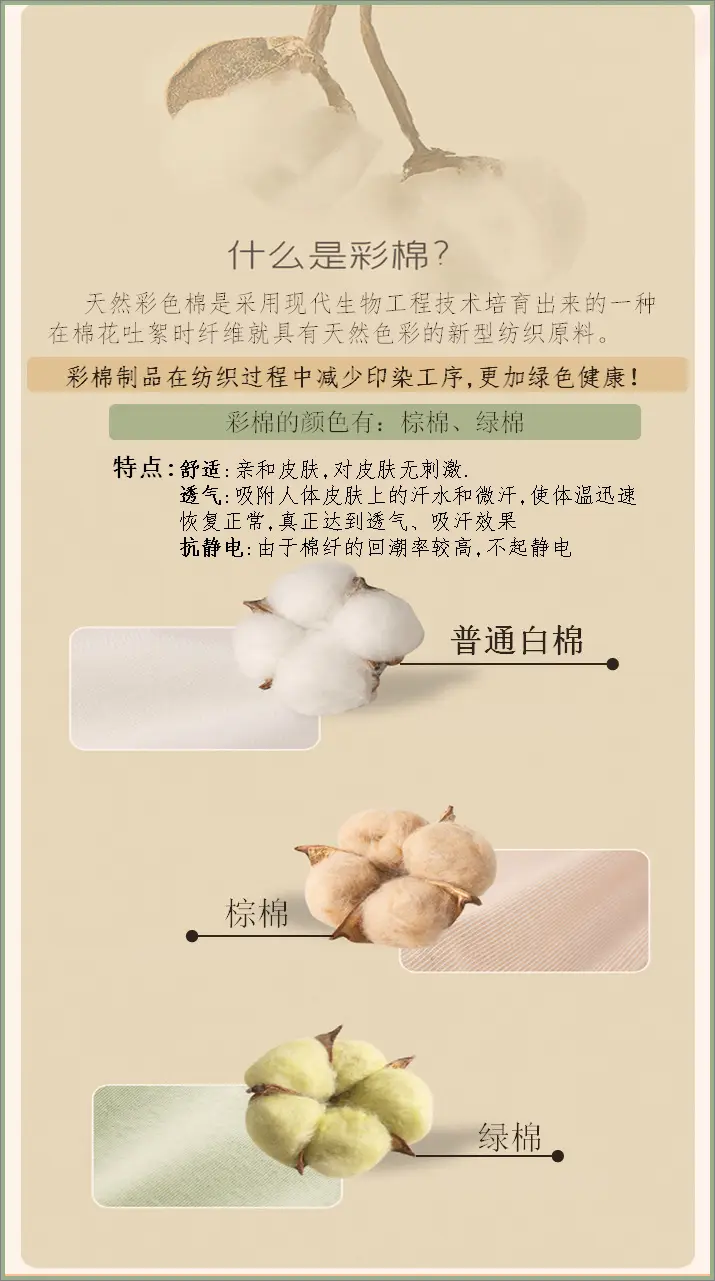 彩棉介绍