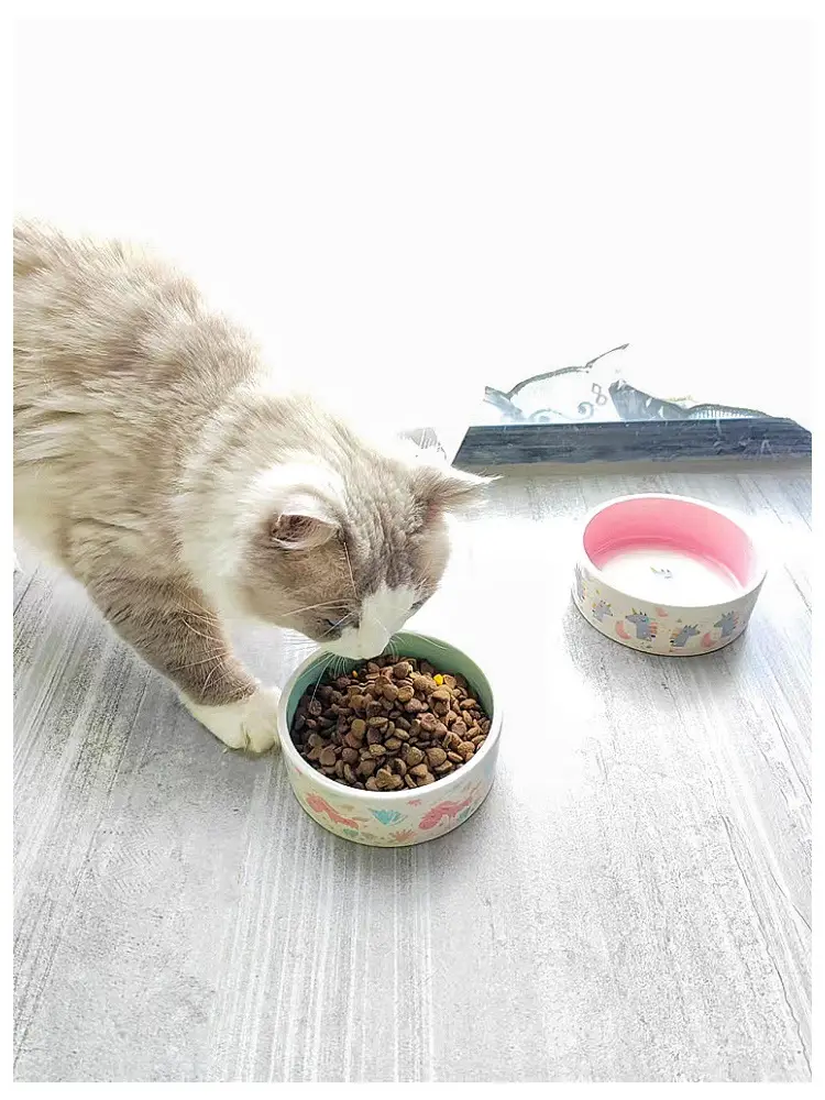 Pet Supplies Ceramic Bowl Unicorn Cat Bowl Water and Food Feeder Easy to Clean Anti-Spill Wholesale Dog Bowl in Stock — feature 11