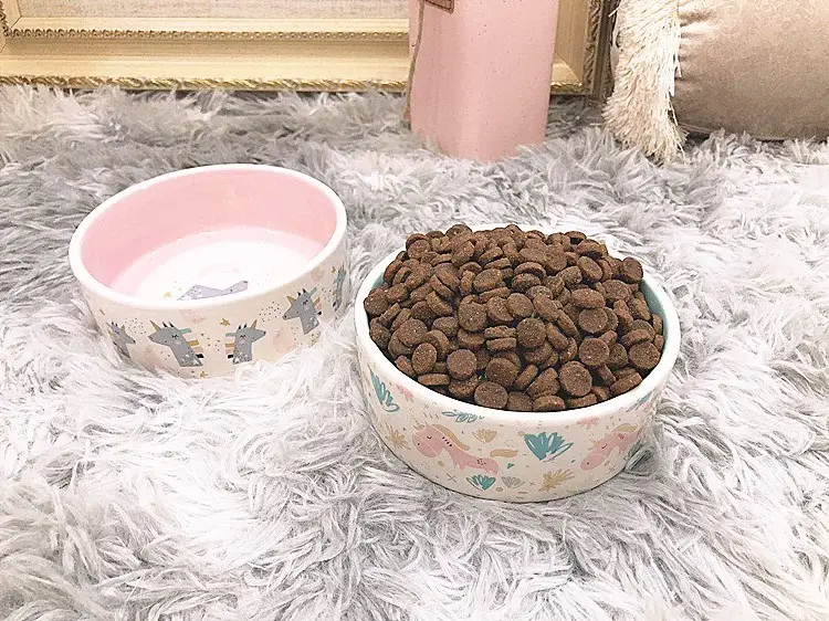 Pet Supplies Ceramic Bowl Unicorn Cat Bowl Water and Food Feeder Easy to Clean Anti-Spill Wholesale Dog Bowl in Stock — feature 13