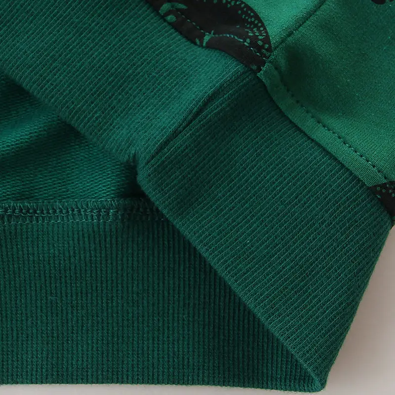 Green Dinosaur Print Boys Sweatshirt Medium - Image 5
