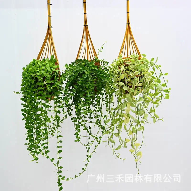 Thailand Handmade Bamboo Hanging Basket Bamboo Basket Hanging Basket Hanging Creative Home Multifunctional Woven Hanging Basket Diaolan