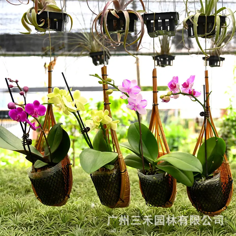 Thailand Handmade Bamboo Hanging Basket Bamboo Basket Hanging Basket Hanging Creative Home Multifunctional Woven Hanging Basket Diaolan