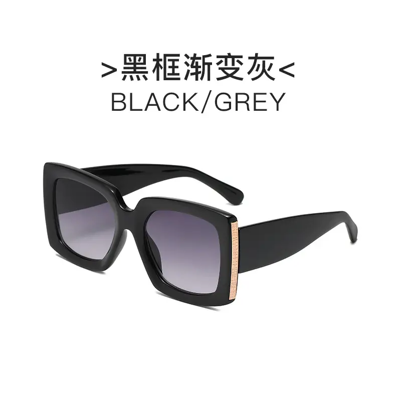 Leopard Print Sunglasses Black Grey UV Protection - Image 4