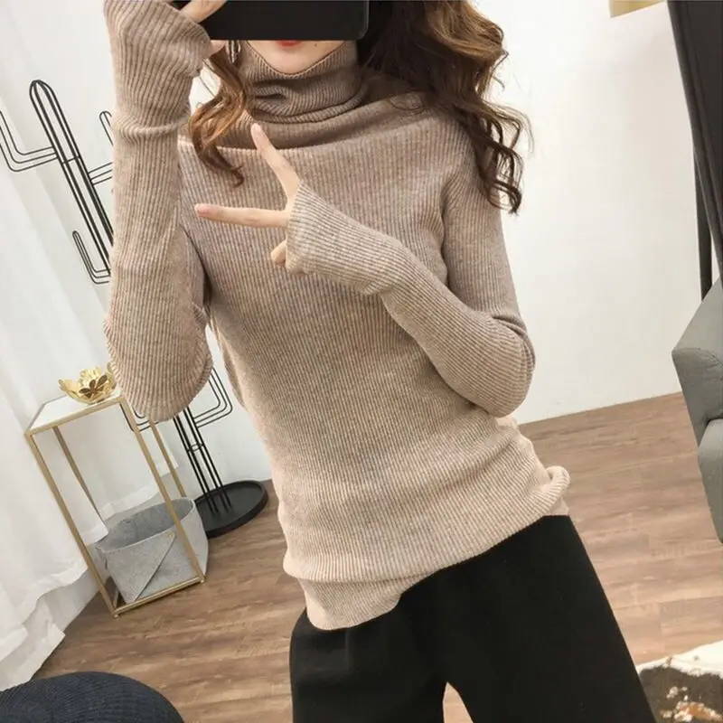 Long Sleeve Thumb Knit Sweater with Backing Pile Collar