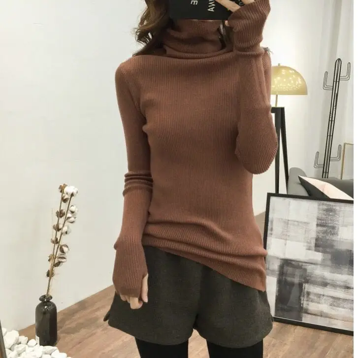 Long Sleeve Thumb Knit Sweater with Backing Pile Collar