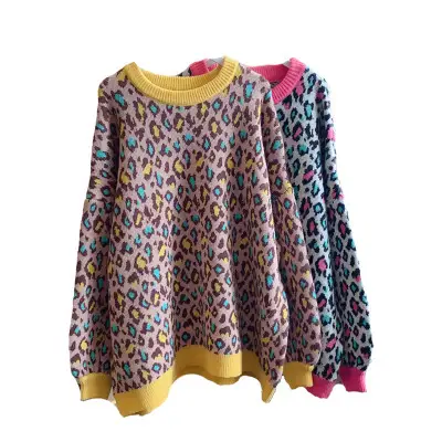 Women Leopard Print Round Neck Sweater Medium