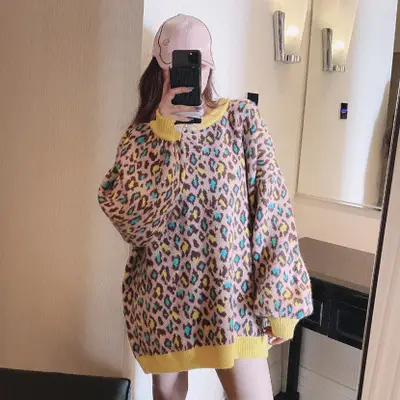 Women Leopard Print Round Neck Sweater Medium