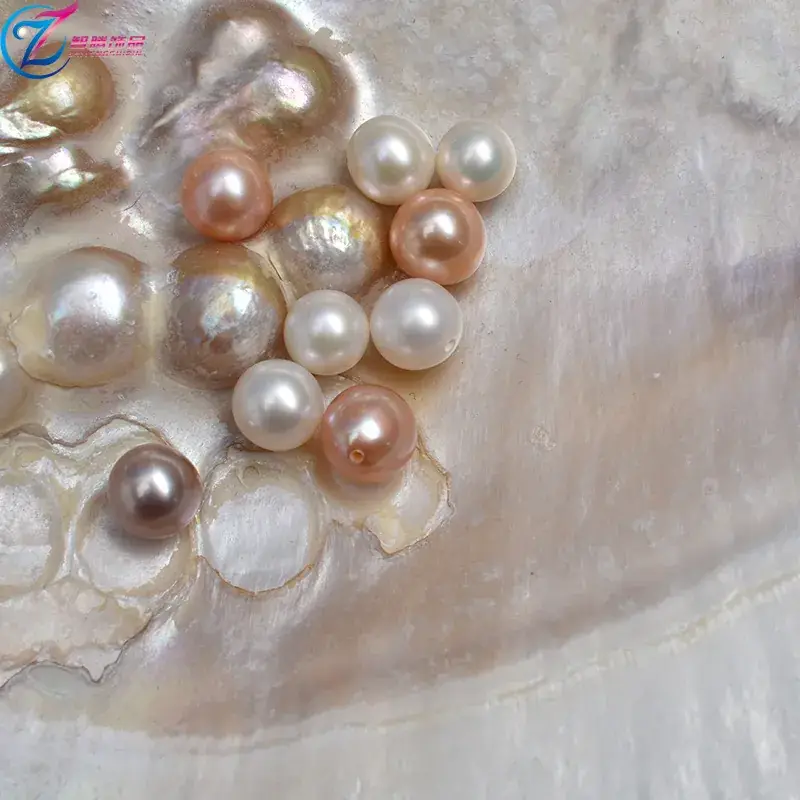 Wholesale Natural Pearl Fresh Round 7-8mm Baroque Jewelry - Image 6