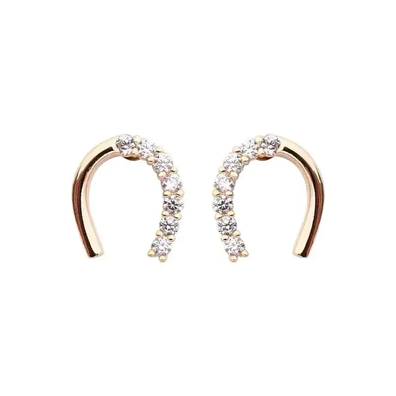 Korean Zircon U-Shoe Earrings for Women