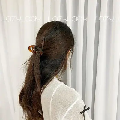 French Amber Frosted Hair Clip for Women - Image 3
