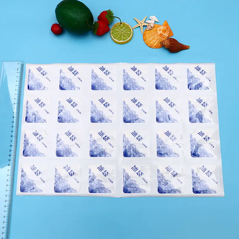 Automatic Absorbent Ice Bag for Fresh Seafood Express - Image 3
