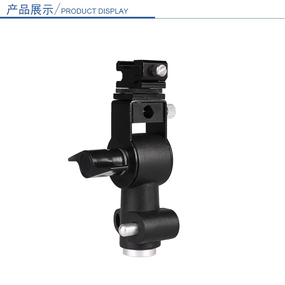Large D lamp holder