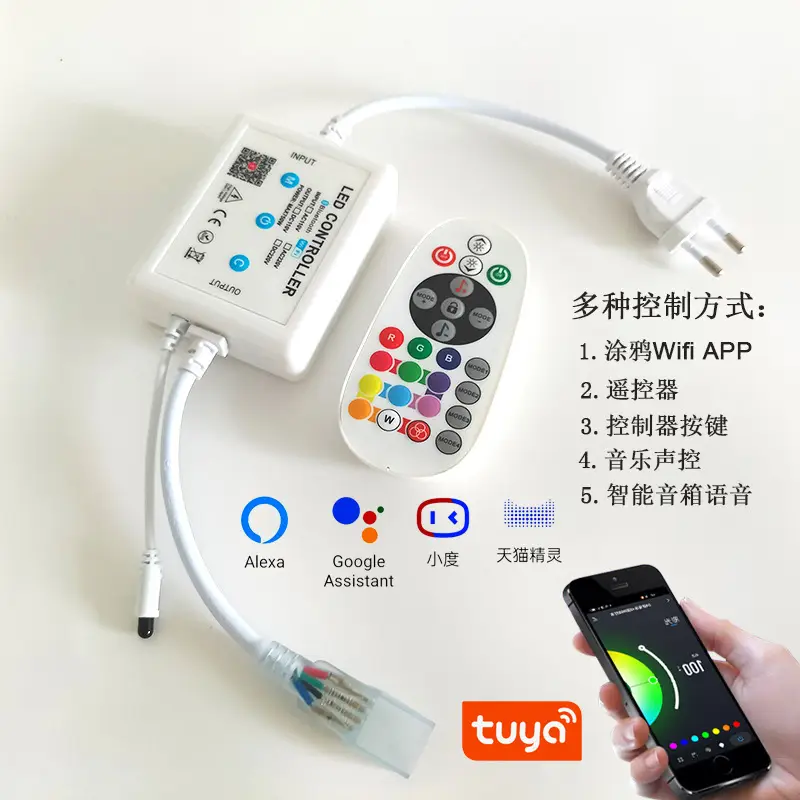 25 Key RGB Light Controller with WiFi Remote 220V - Image 9