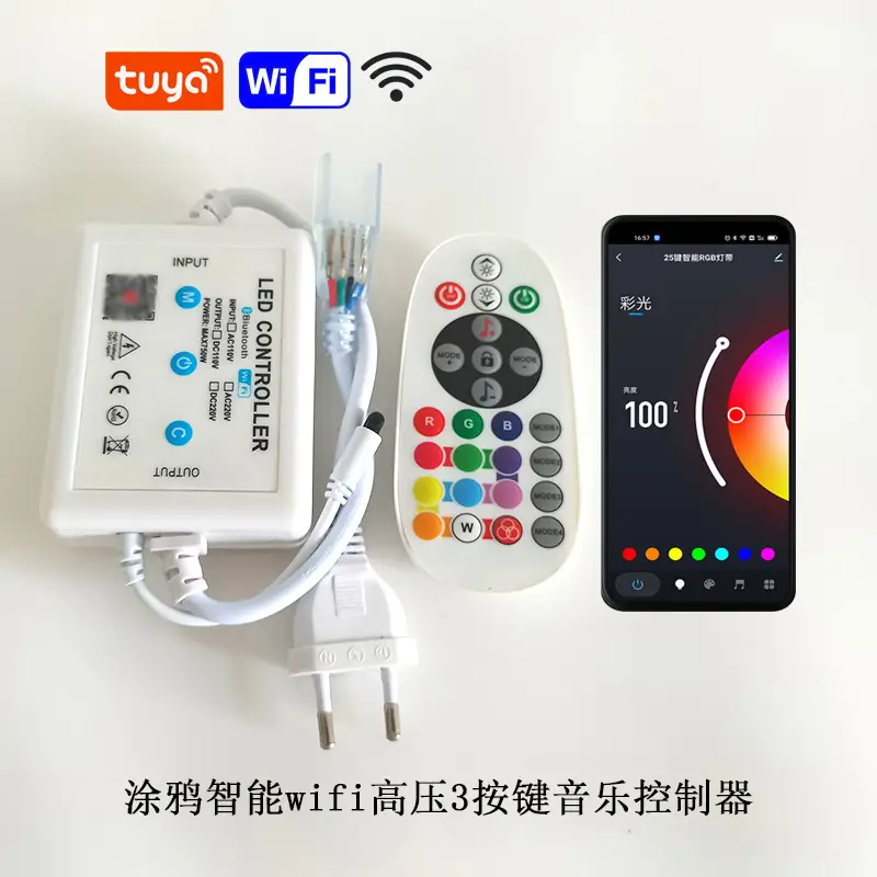25 Key RGB Light Controller with WiFi Remote 220V — feature 16
