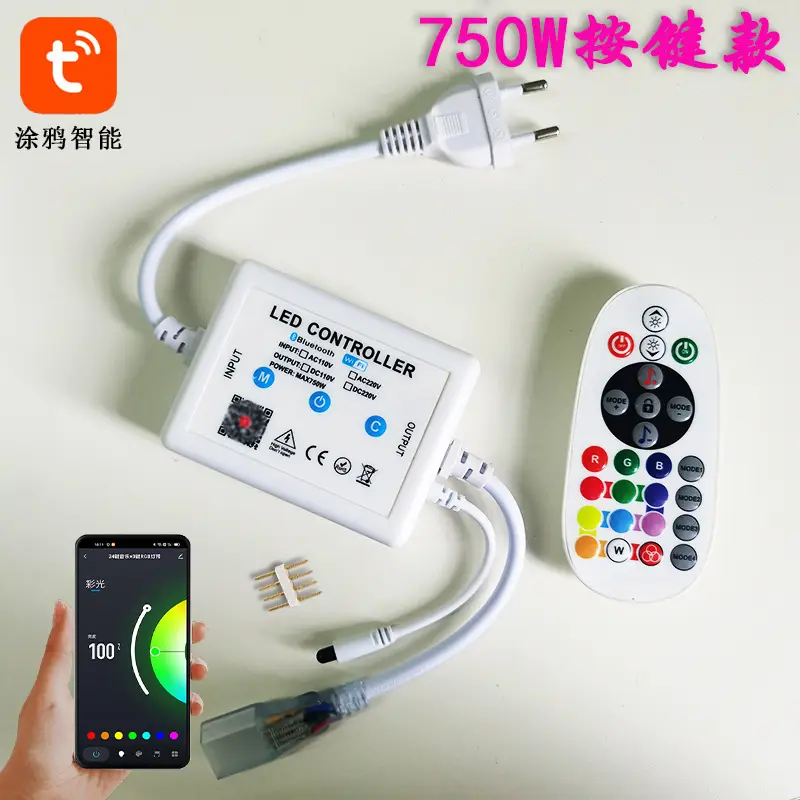 25 Key RGB Light Controller with WiFi Remote 220V - Image 3
