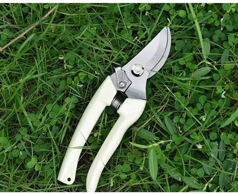 Factory Direct Sales of Stainless Steel Gardening Pruning Shears, Garden Shears, Gardening Tools, Factory Wholesale — feature 15