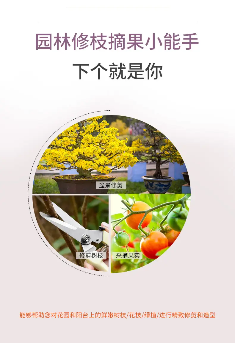 Factory Direct Sales of Stainless Steel Gardening Pruning Shears, Garden Shears, Gardening Tools, Factory Wholesale — feature 5