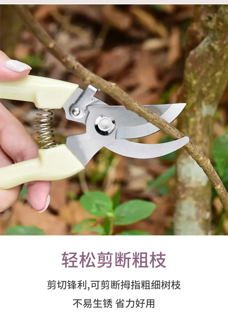 Factory Direct Sales of Stainless Steel Gardening Pruning Shears, Garden Shears, Gardening Tools, Factory Wholesale — feature 6