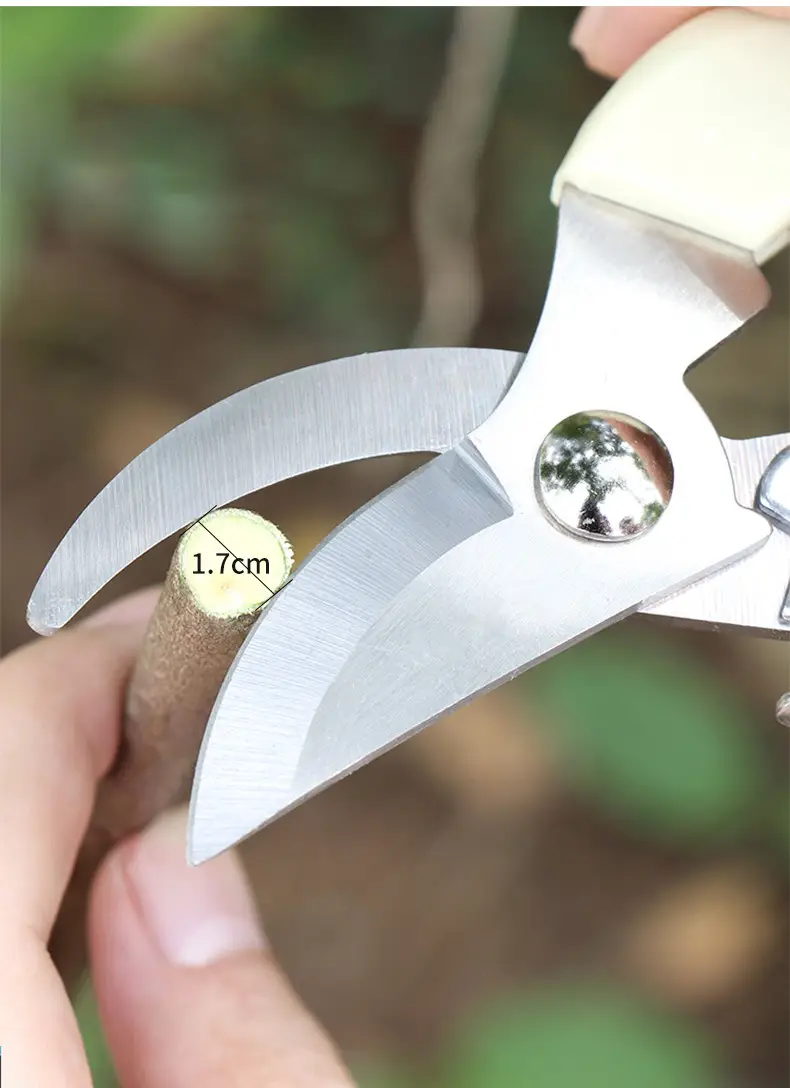 Factory Direct Sales of Stainless Steel Gardening Pruning Shears, Garden Shears, Gardening Tools, Factory Wholesale — feature 7