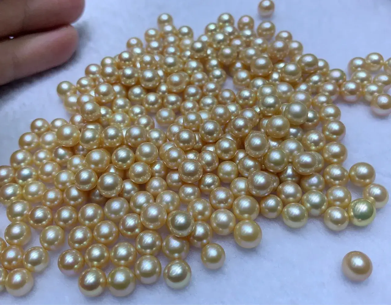 7-8mm Gold Skin Freshwater Pearl Beads Wholesale