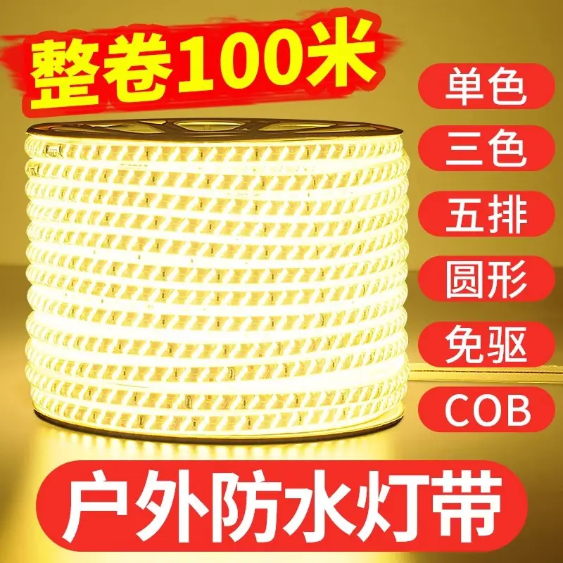 Living room 5730 highlight Double Row high voltage led strip wholesale indoor outdoor 2835 three color light waterproof led strip