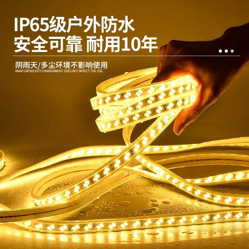 Living room 5730 highlight Double Row high voltage led strip wholesale indoor outdoor 2835 three color light waterproof led strip