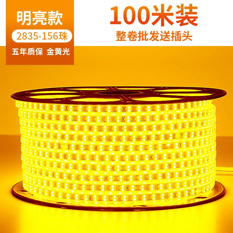 Living room 5730 highlight Double Row high voltage led strip wholesale indoor outdoor 2835 three color light waterproof led strip