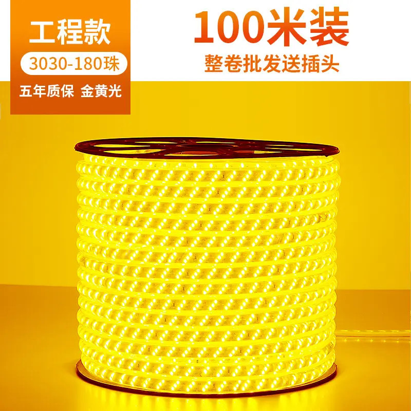 Living room 5730 highlight Double Row high voltage led strip wholesale indoor outdoor 2835 three color light waterproof led strip